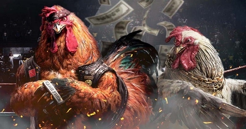 Ba thể loại đá gà phổ biến: cựa sắt Philippines, cựa tròn Campuchia, truyền thống Việt Nam